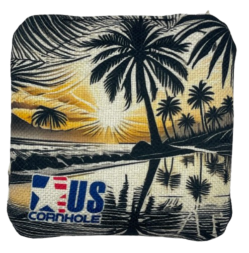 RISE Pro US Cornhole Bags (Set of 8)